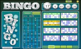 Bingo European